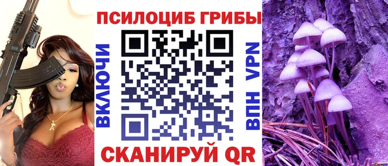 продажа наркотиков  Певек  Псилоцибиновые грибы мухоморы 